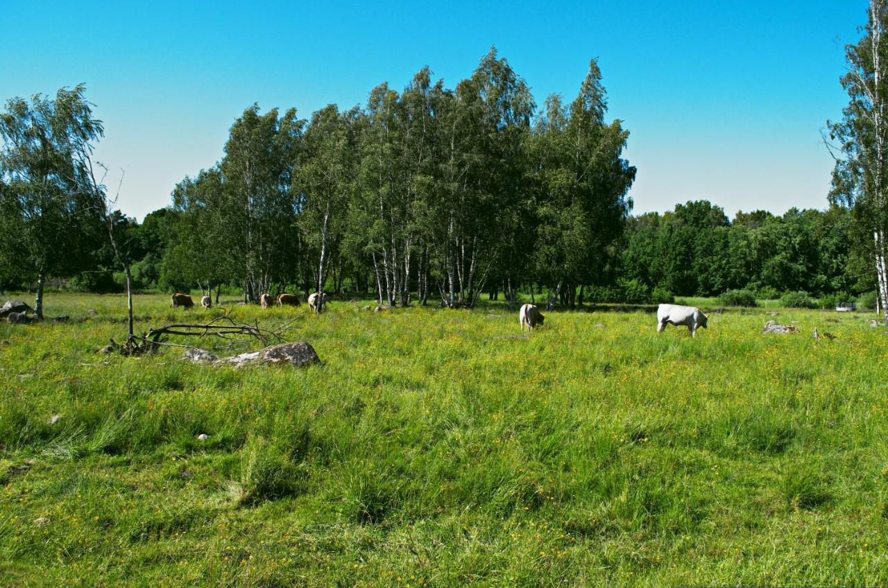Gaeststugan Skara Extérieur photo