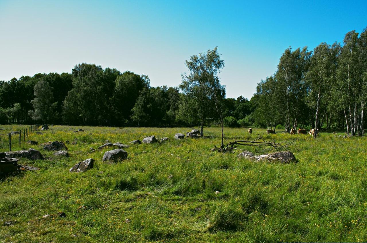 Gaeststugan Skara Extérieur photo